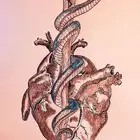 د.سحر النشر الابحاث الطبية معتمدة من الهيئة