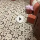 مساند للبيع