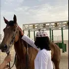 حصان انتاج إنجليزي