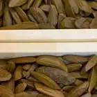 عروض الاوقيات عود مروكي فاااخر