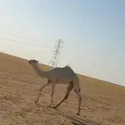 مفروده مستقبلها طيب ان شاءالله
