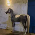 حصان واهو
