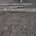 رخله طيبه وضحيه