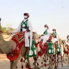 اجار جمال وخيول اباعر رحول ركبي بوني سيسي ورحول قليصة المنتز
