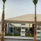 نخل واشنطن زينه