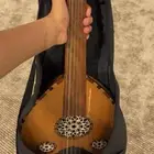 عود مصري