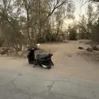 دباب بطه صيني