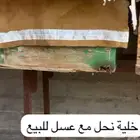 خليه نحل للبيع