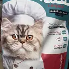 كيسين دراي فود الكيس الواحد كيلو ونص