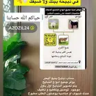 طليان تيوس سواكن انواع الذبايح يوجد تقطيع وتوصيل وطبخ