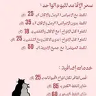 فندقة قطط منزلية