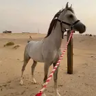 مهر