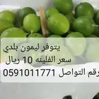 يتوفر ليمون بلدي