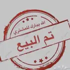 حصان انجليزي