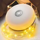 عقد اضاءة ليد 10 متر علي السوم أقل سعر