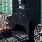 اللي عنده مدخنه نفس هذي من تثليث يتواصل معي