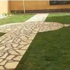تركيب و بيع عشب طبيعي وزراعته للحدائق والملاعب