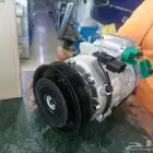 كومبروسور جديد تبع سنتافي 2014