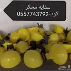 اسعار جمله مع نهايه السنة 2024 عالسقايات وعلافات