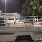 شدشاص حديدشبه جديد