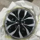 رش جنوط اسبور