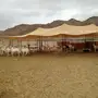 مراح جاهز مع بيشيات صنف 