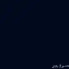 أبي قط سكوتش لتبني