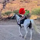 تعليم ركوب الخيل