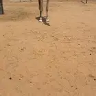 للبيع قعود