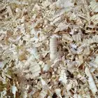 نشارة خيل نظيفه و معقمه السعر 12