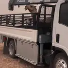 دنه ونش مشاوير