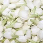 توزيعات فل المدينة عطر مني