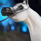 مطلوب خيل جمال