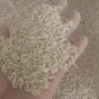 شعير سداسي وزن الكيس 40 كيلو مغربل نضيف