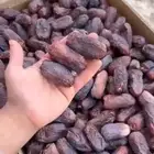 عنبره فاخره بسعر 15 ريال فقط للكيلو الحقو