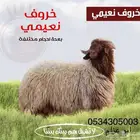 ذبيحتك لباب بيتك