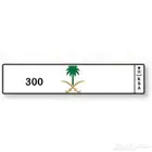 لوحة 300
