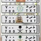 لوحة مميزة رسمة تكرار وقفل مميز ومئوي ط ص ط 700