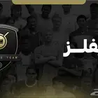 فيفا رايفلز جوائز