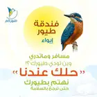 فندقه طيور