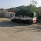 دينا شبك للنقل