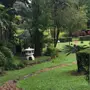 شغاله لتناول
