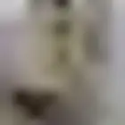 صبابين القهوة السعودية رجال ونساء في انحاء المملكه العربيه ا