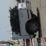 حطب عنب 