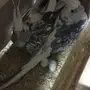 البيع بسعر مميز 