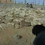 عامل يمني يبحث عن عمل بشهر حراسه شغل مزرعة 