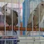 جون كروان اليف جدا