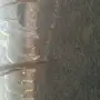 اللبيع طليان طيبه عماره من 8شهور الى 7 