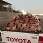 حطب شليخ شي يجمل