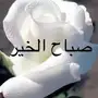 عندي عروض حسابات